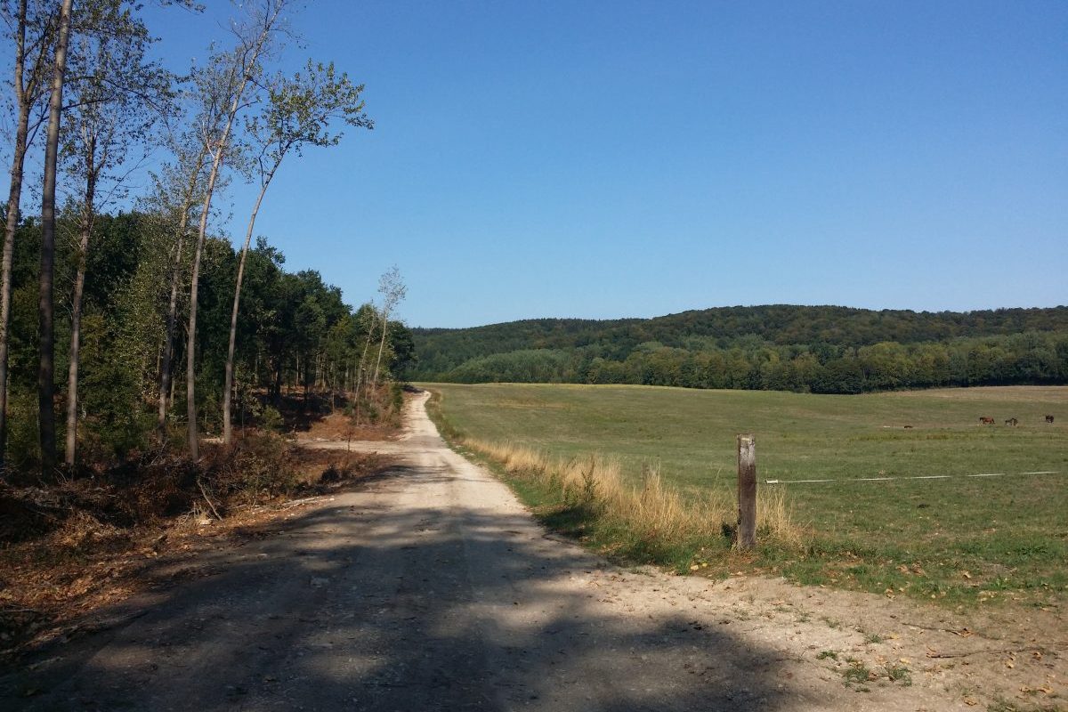 Vakantiewoning Champagne Ardennen Argonnen Imecourt Omgeving_01